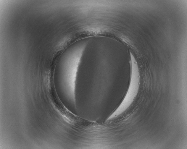 X0000066110590200603131304