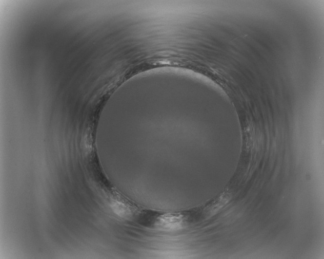 X0000066110606200603131304