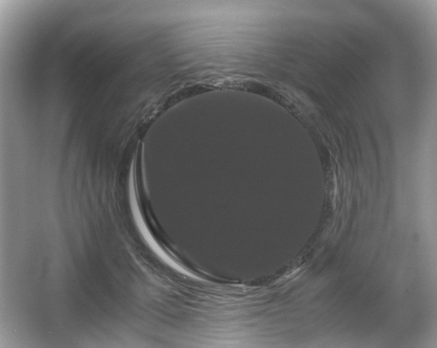X0000066110607200603131304