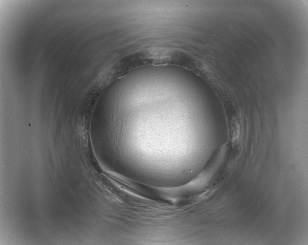 X0000066110609200603131304