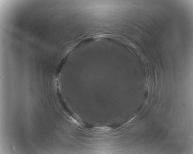 X0000066110621200603131304