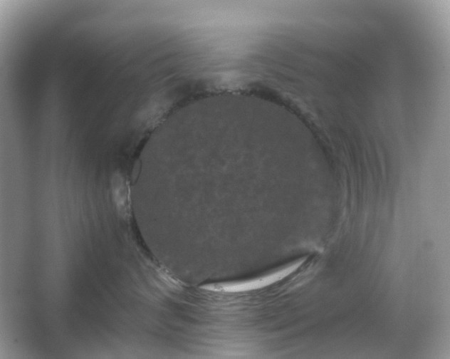 X0000066110624200603131303