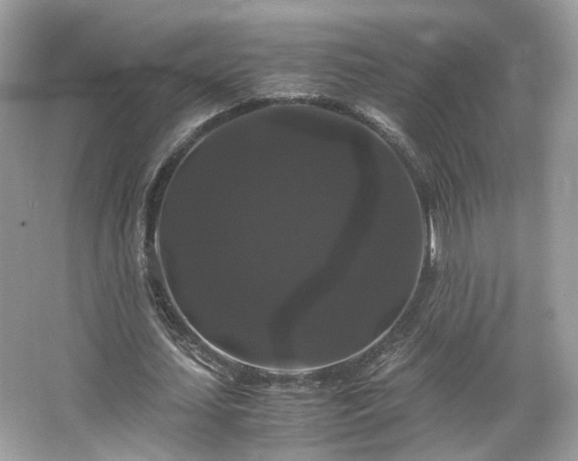 X0000066110627200603131303