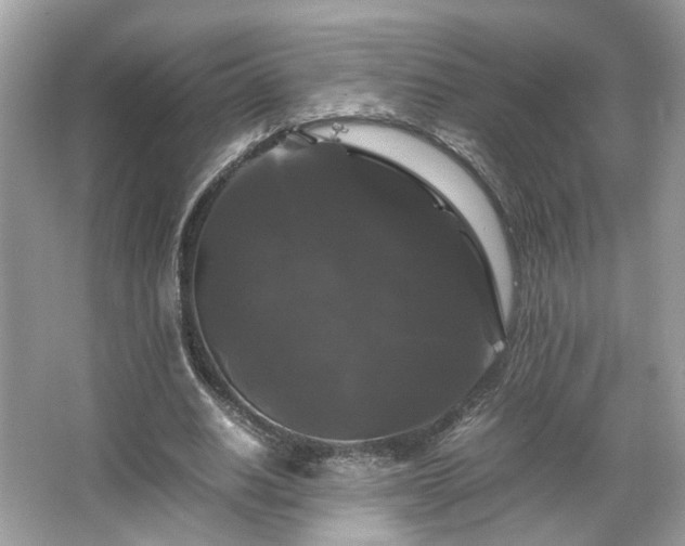 X0000066110630200603131303
