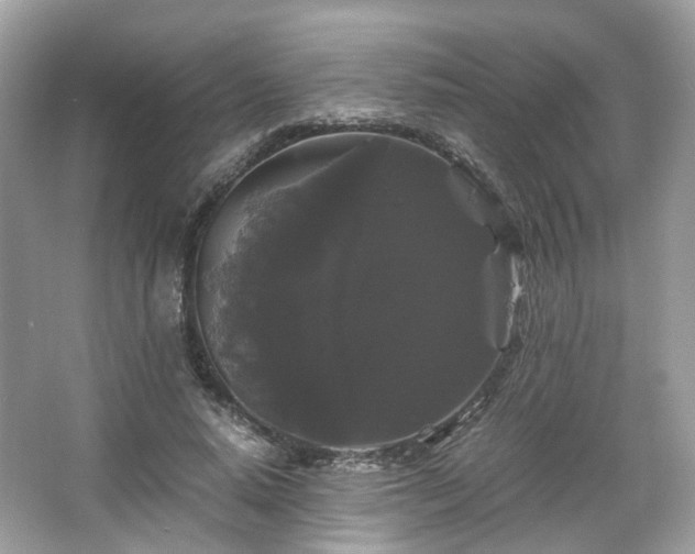 X0000066110640200603131303