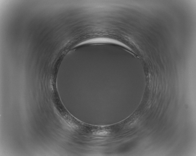 X0000066110643200603131303