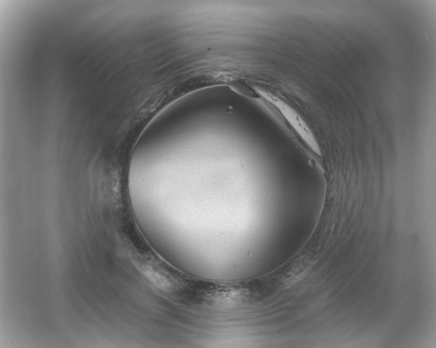 X0000066110646200603131303