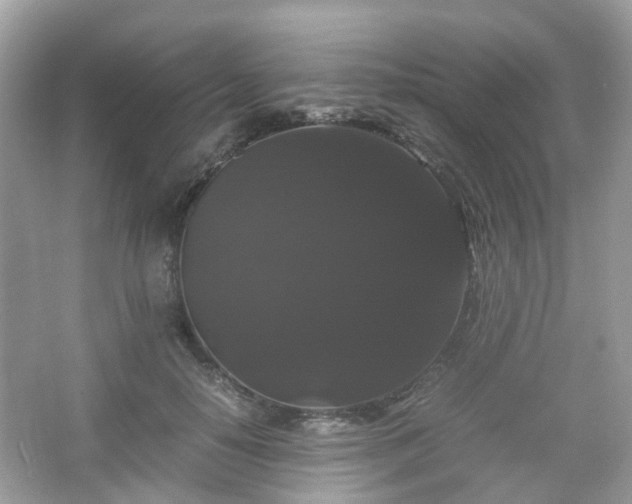 X0000066110650200603131303