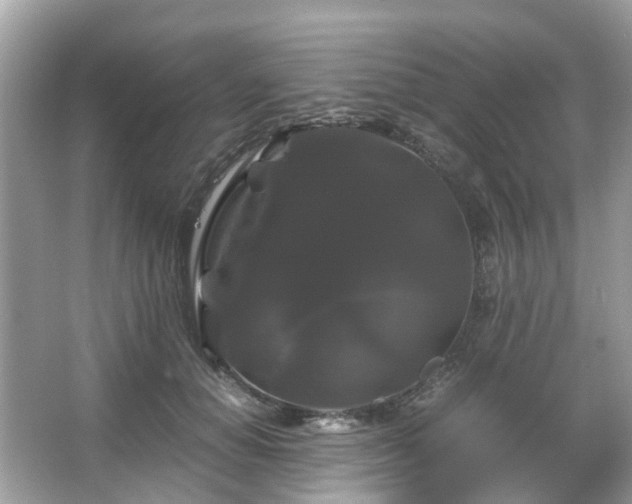 X0000066110654200603131303