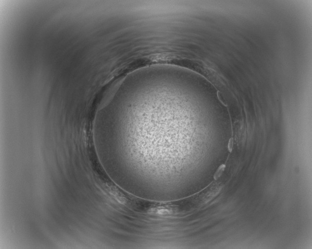 X0000066110655200603131303