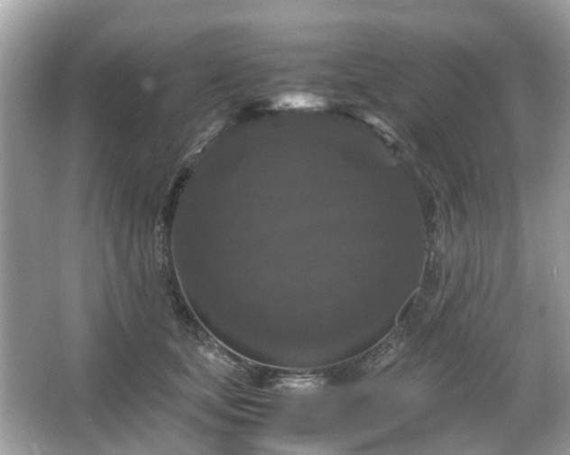 X0000066110659200603131303