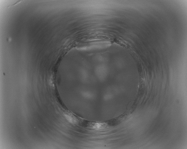 X0000066110663200603131303