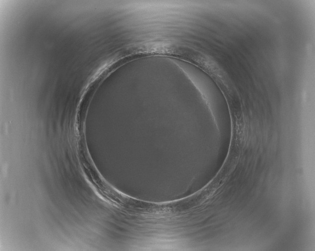 X0000066110674200603131303