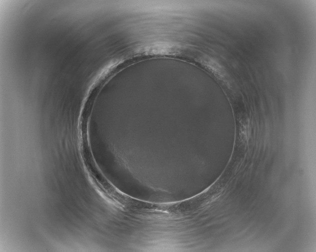 X0000066110678200603131303