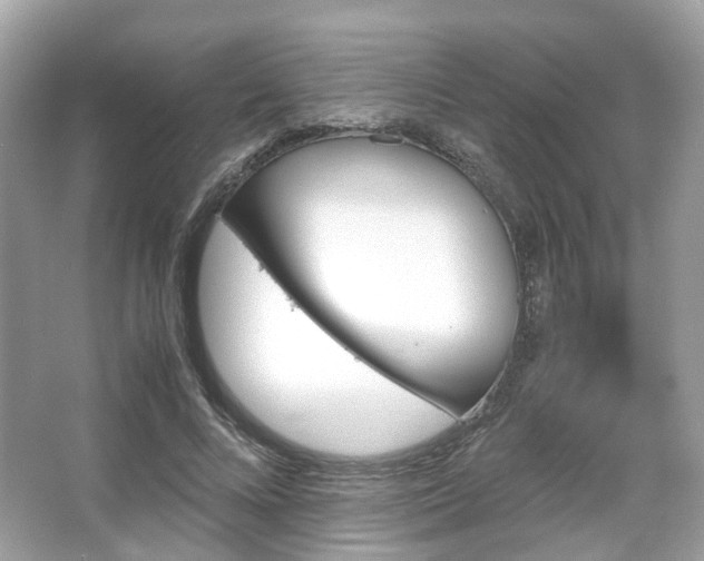 X0000066110688200603131302