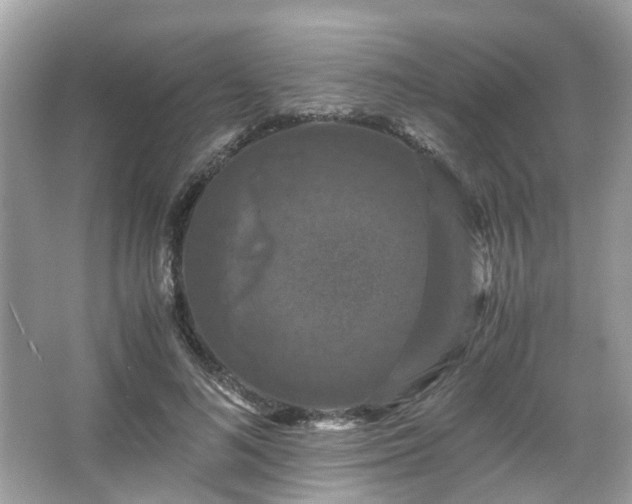 X0000066110692200603131302