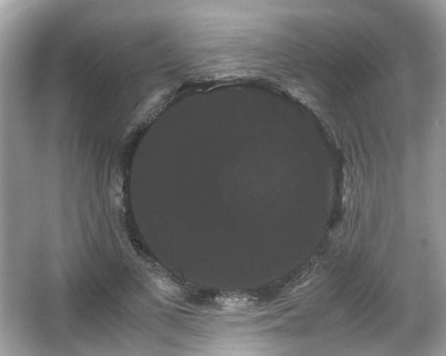 X0000066110693200603131302
