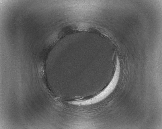 X0000066110697200603131302