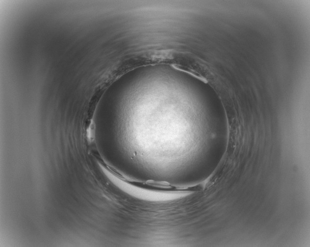 X0000066110704200603131302