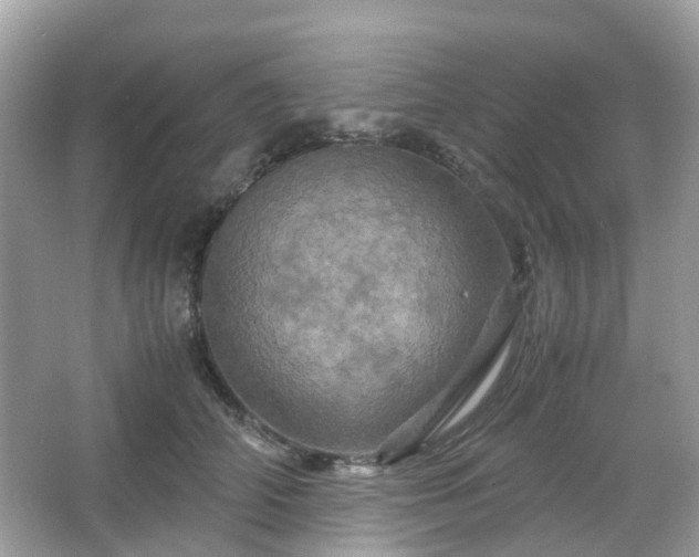 X0000066110706200603131302