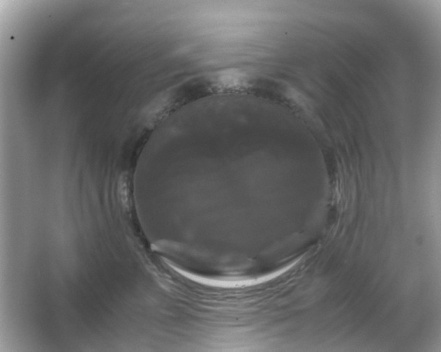 X0000066110715200603131302