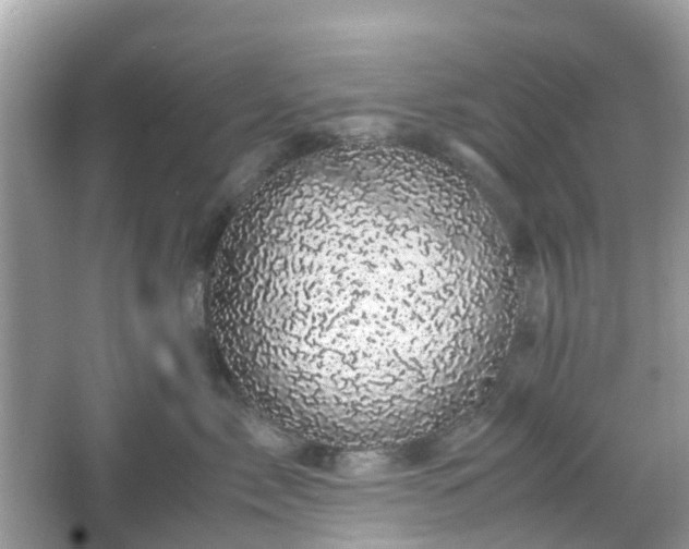 X0000066110717200603131302