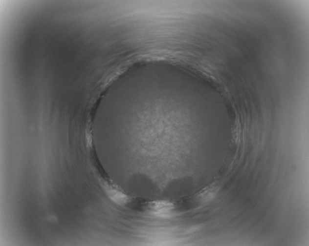 X0000066110719200603131302