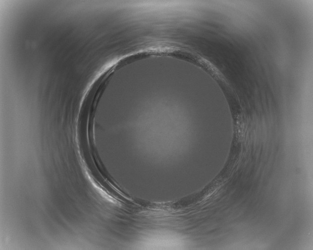 X0000066110726200603131301