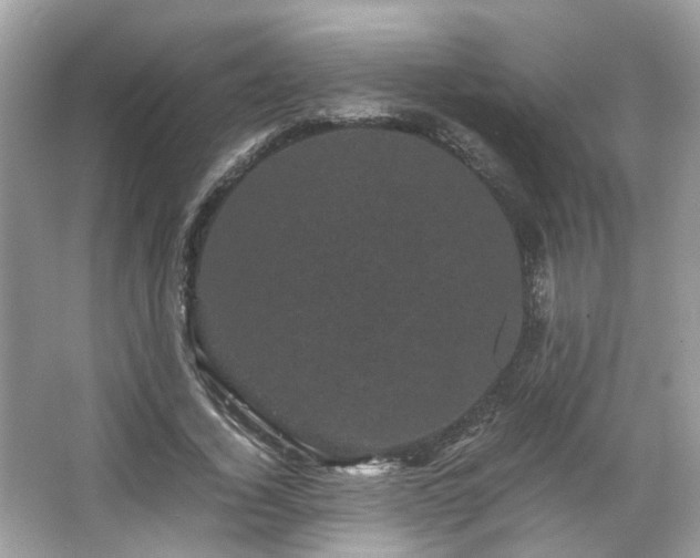 X0000066110732200603131301