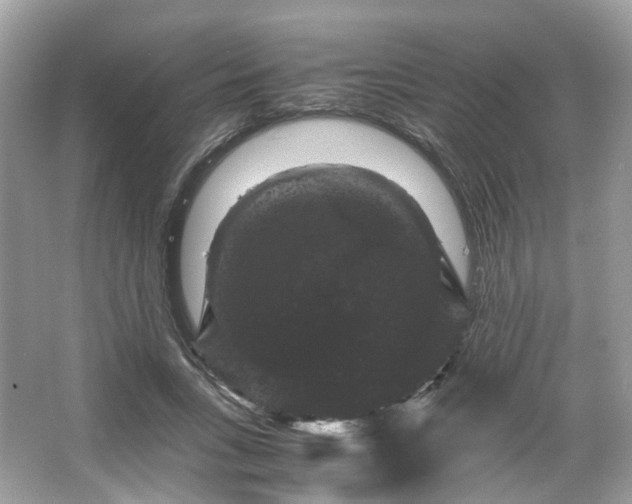 X0000066110735200603131301