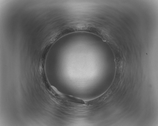 X0000066110746200603131301
