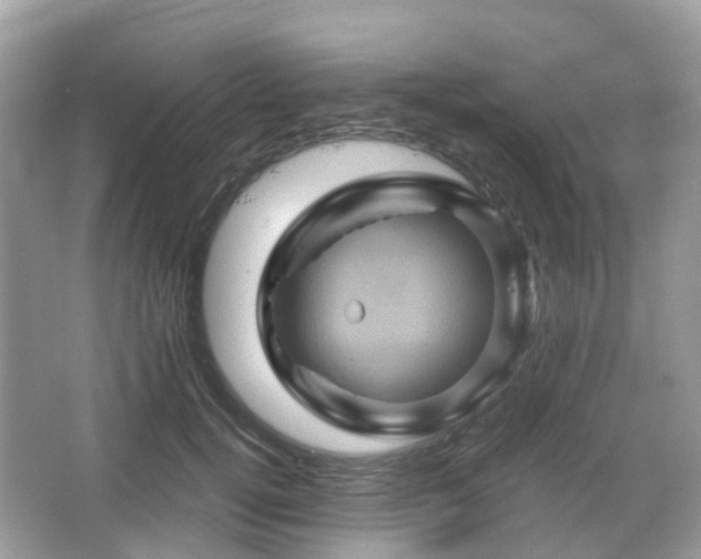 X0000066110752200603131302