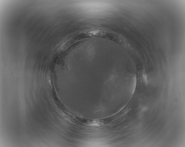 X0000066110754200603131302