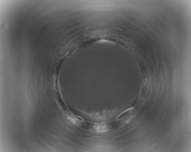 X0000066110767200603131302