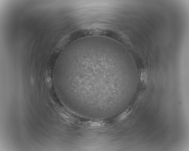 X0000066110771200603131301