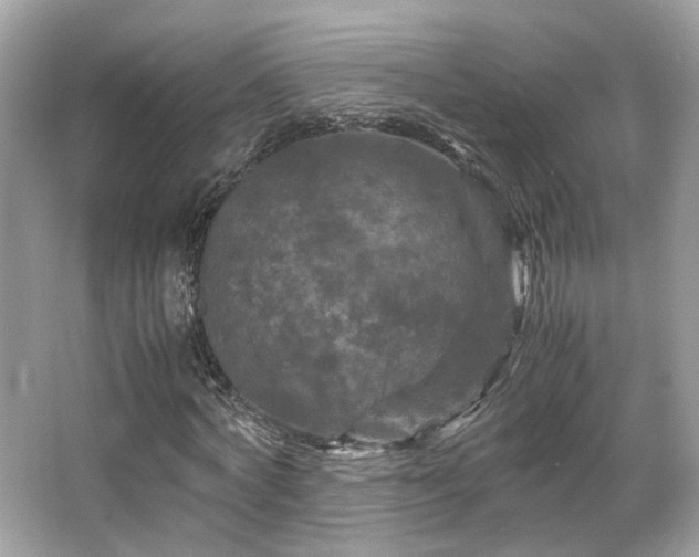 X0000066110772200603131301