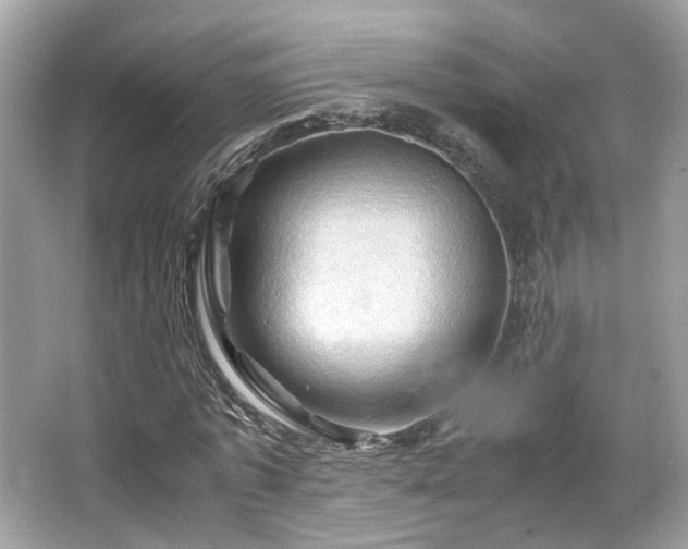 X0000066110773200603131301