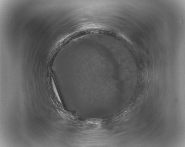 X0000066110775200603131301