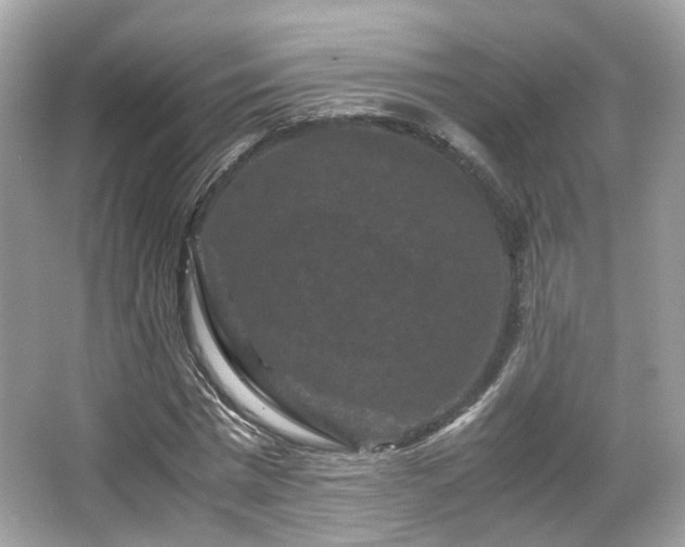 X0000066110777200603131301