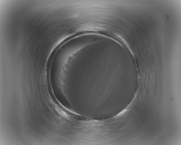 X0000066110779200603131301