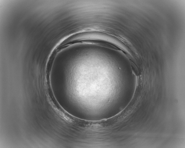 X0000066110784200603131301