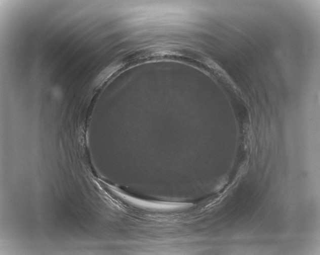 X0000066110785200603131301