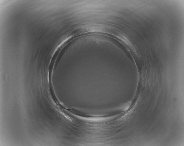 X0000066110790200603131301