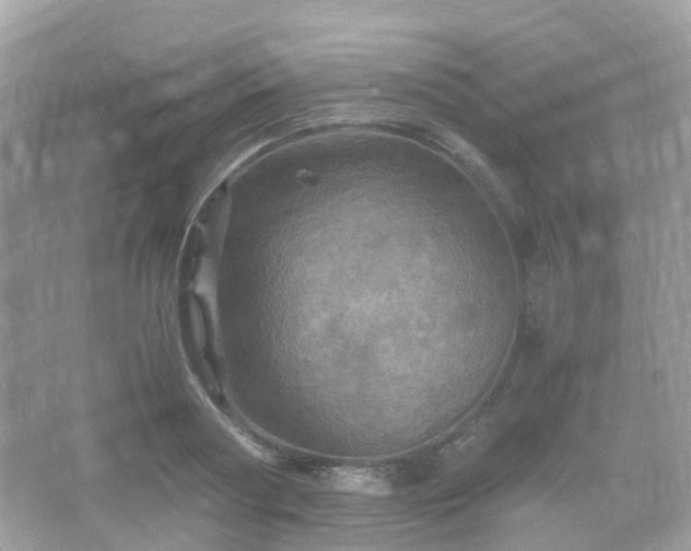 X0000066110794200603131301