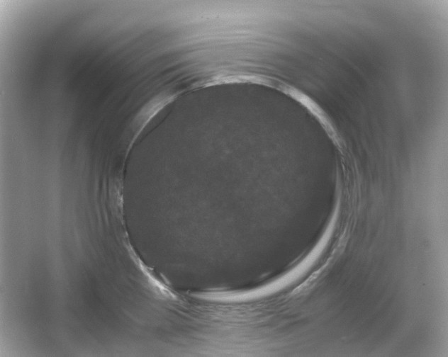 X0000066110809200603131300