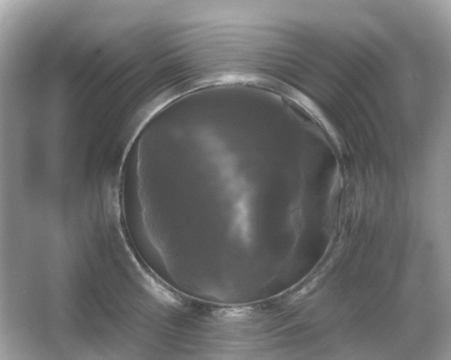 X0000066110810200603131300