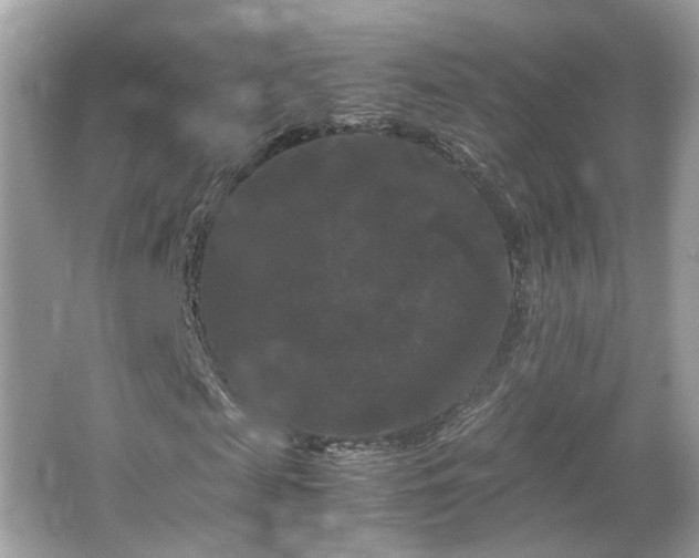 X0000066110817200603131259