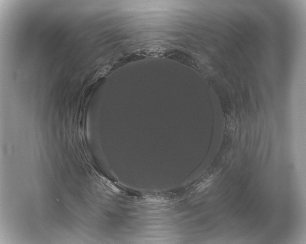 X0000066110818200603131259