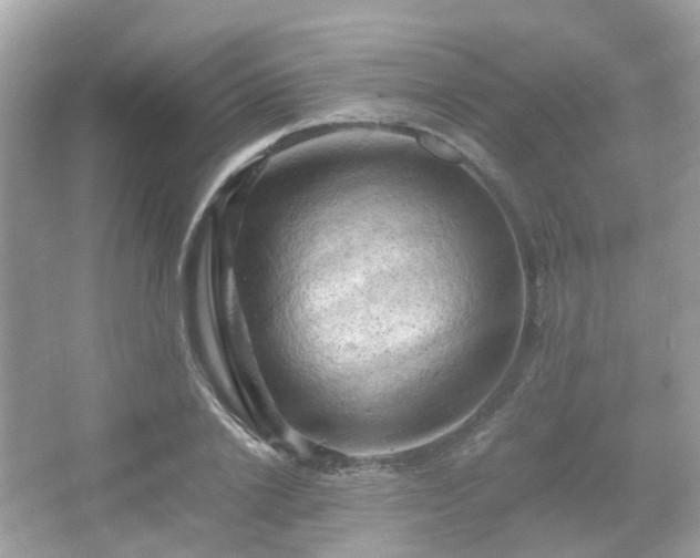 X0000066110838200603131300