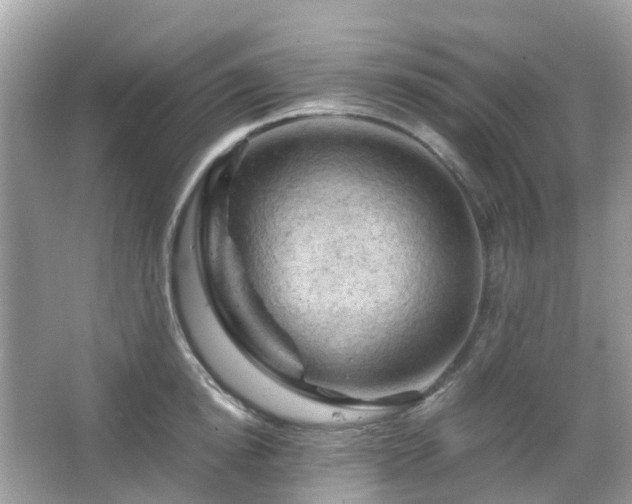 X0000066110854200603131300